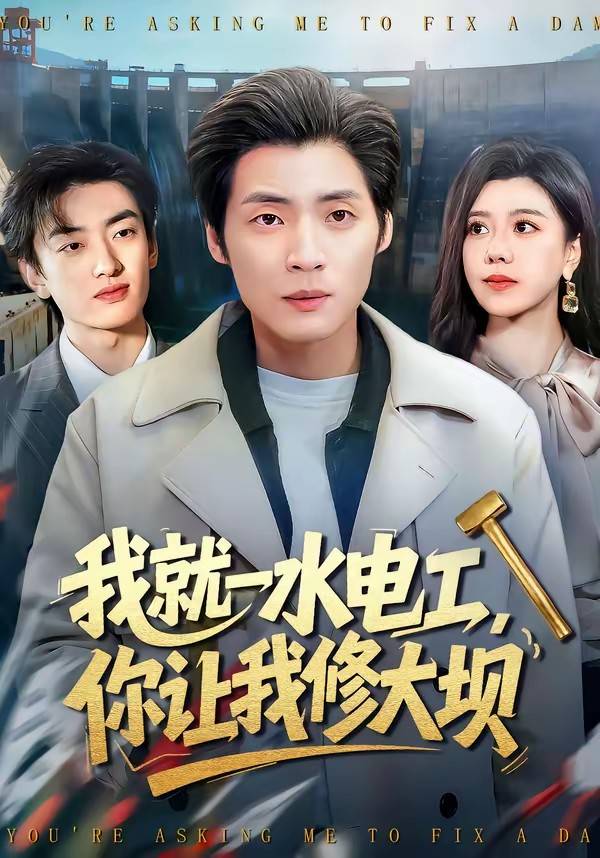 我就一水电工，你让我修大坝封面图