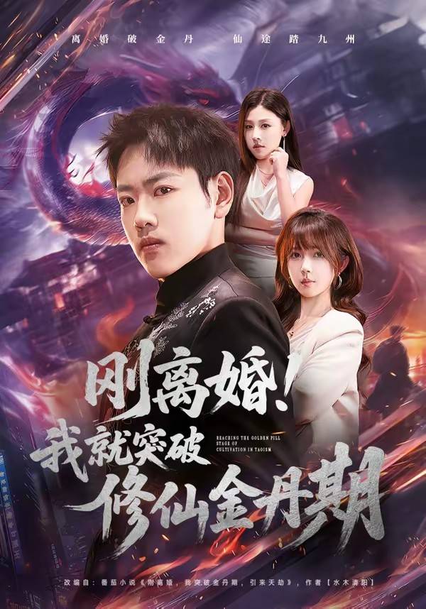 刚离婚！我就突破修仙金丹期封面图