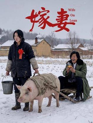 嫁妻封面图