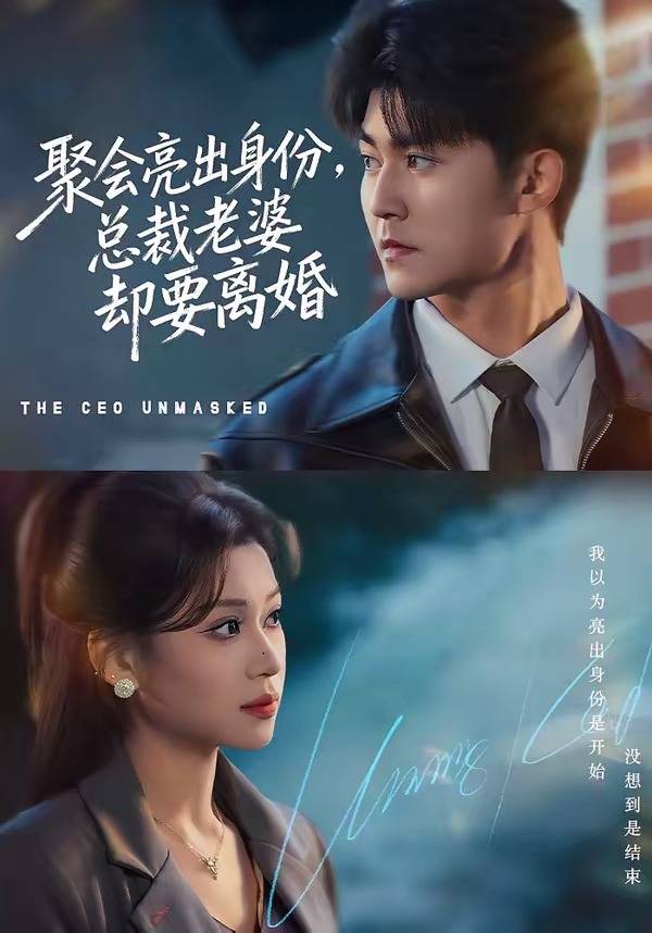 聚会亮出身份，总裁老婆却要离婚封面图