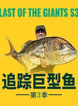 追踪巨型鱼第三季封面图