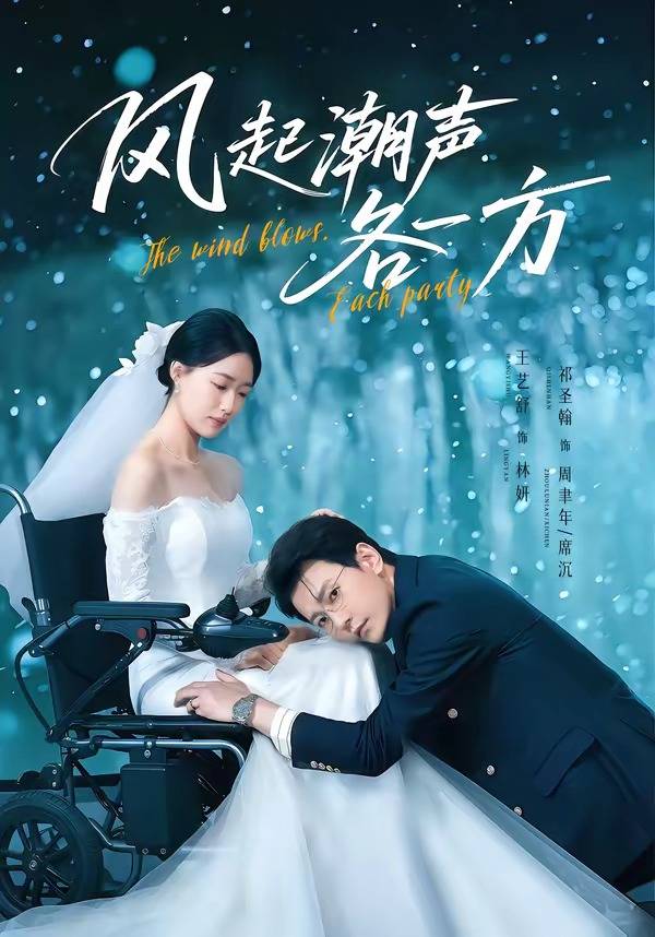 风起潮声各一方封面图