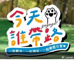 今天谁带路封面图