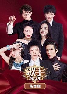 歌手·当打之年 秘密版封面图