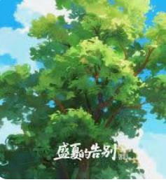 盛夏的告别封面图