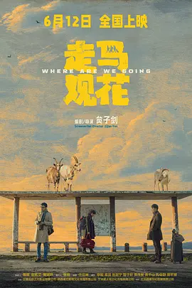 走马观花封面图